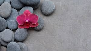 This image has an empty alt attribute; its file name is Stones-and-flower.jpeg